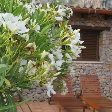 Holiday home Edera All'usciere *