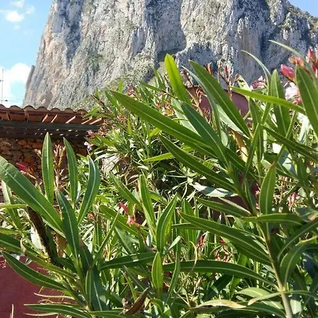 Edera All'usciere Сasa de vacaciones San Vito Lo Capo