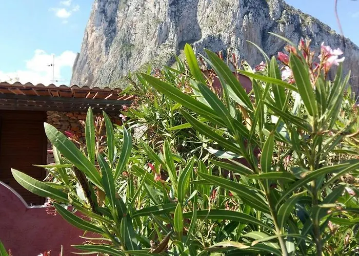 Edera All'usciere Σπίτι διακοπών Σαν Βίτο λο Κάπο